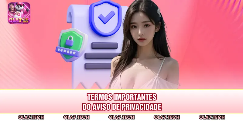 Termos importantes do Aviso de Privacidade